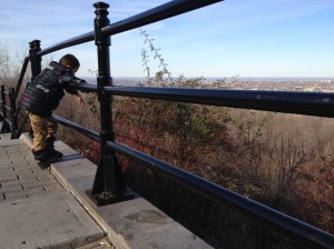 Mt-Royal Nov 2012